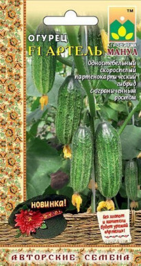 ������ ������ F1