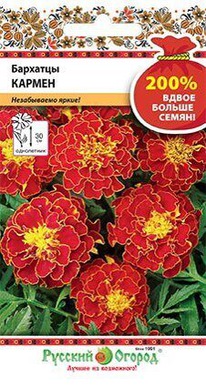 �������� ������