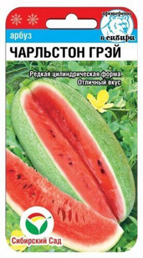 ����� ��������� ����