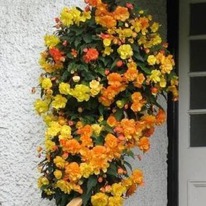 ������� ����������� ������� 6/7