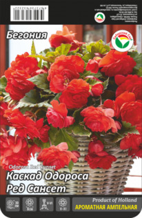 ������� ������ ������� ��� ������ 6/7