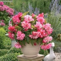 ������� ������ ������� 6/7