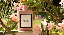 Gucci Bloom  25%  31.05