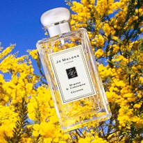 Jo Malone Mimosa And Cardamom  25%  31.05