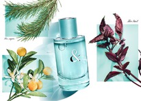 Tiffany & Co Love for Her  25%  31.05