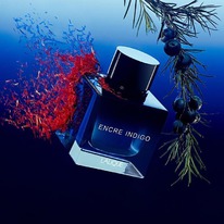 Lalique Encre Indigo  25%  31.05