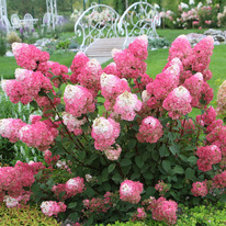 ��������� ���������� ������ ����������� ��