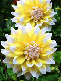 �������� �����