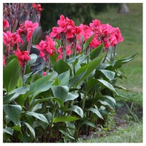 ����� ���� �� ���������