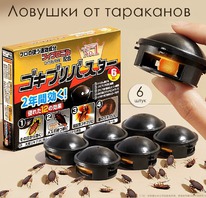 ������� �� ��������� 6 ����.