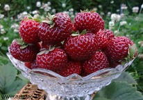 ����������- ��������� ������ ��������� �9