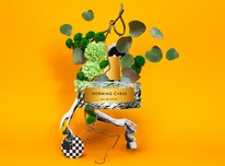 Vilhelm Parfumerie Morning chess  25%  31.05