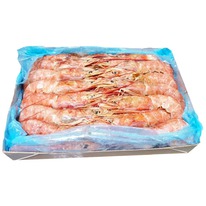 ���������� (������� ��������) � ������� 10/20 (L1), ���������, ���������