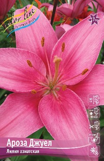 ����� ����� �����, 12/14