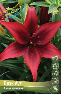 ����� ���� ���, 12/14