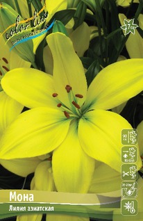 ����� ����, 12/14