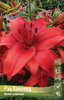 ����� ��� �������, 12/14