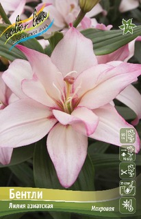 ����� ������, 12/14