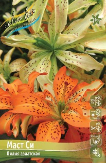 ����� ���� ��, 12/14