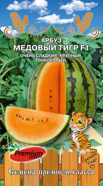 ����� ������� ���� F1