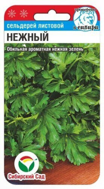 ��������� ������ ��������