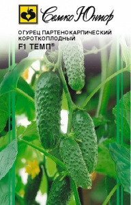 ������ ���� F1