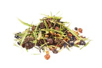 ����� ����� - ������ ������� ���� ������