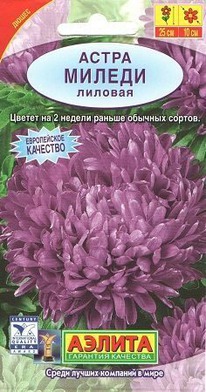 ����� ������ ������� �����������