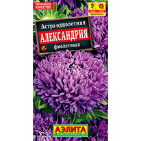 ����� ����������� ����������