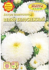 ����� ����� �����������