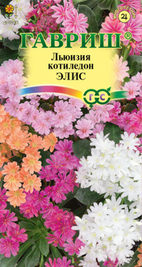 ������� ���� ���������