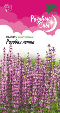 ������� ������� ����� ������� ���