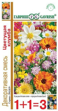 ����� ������������ �������� ������ 1+1