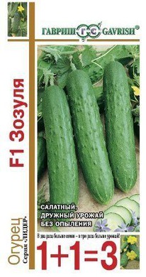 ������ ������ F1 ����� 1+1