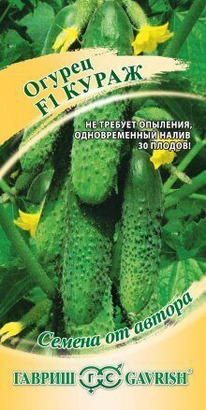 ������ ����� F1