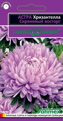 ����� ����������� ��������� ������