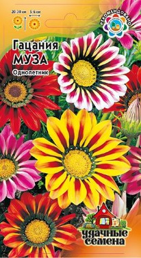 ������� ���� �����