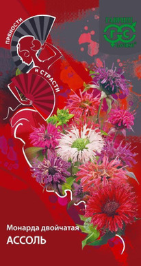 ������� ������ ��������� �����������