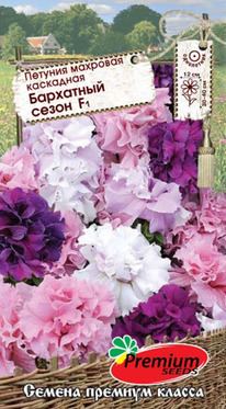 ������� ��������� ����� F1 �������� ���������