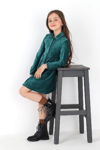 �����  ������ ��� ������� ����-1 ���-055. ��˨���