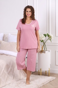 ������ ����-2 �-449 ����� ����