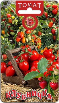 ����� ���������