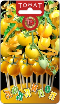 ����� ��������