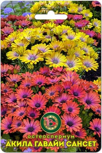 ������������ ����� ������ ������