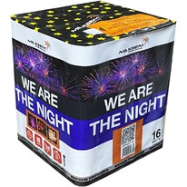  GP497/2   / We are the night (0,8