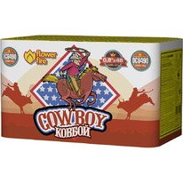  6490  / Cowboy (0,8