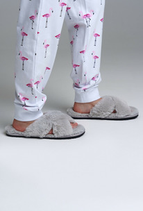 PlayToday    42321054