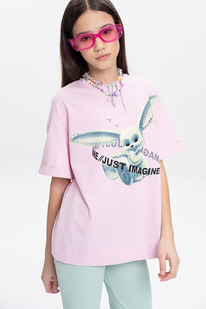 Pelican    GFT3369/8 