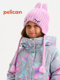 Pelican    GKQX3293/2/1 