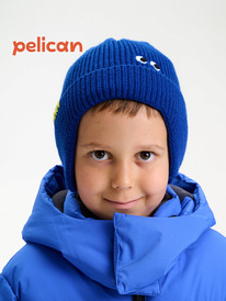 Pelican   UKQX3385/6 